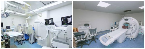 瑞派虹泰环城总院 | 打造“一站式宠物诊疗空间”,定义全国宠物医疗新高度