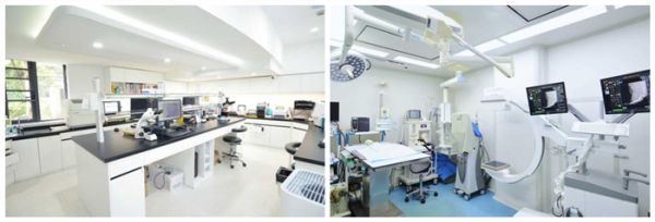 瑞派虹泰环城总院 | 打造“一站式宠物诊疗空间”,定义全国宠物医疗新高度