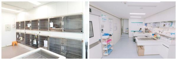 瑞派虹泰环城总院 | 打造“一站式宠物诊疗空间”,定义全国宠物医疗新高度