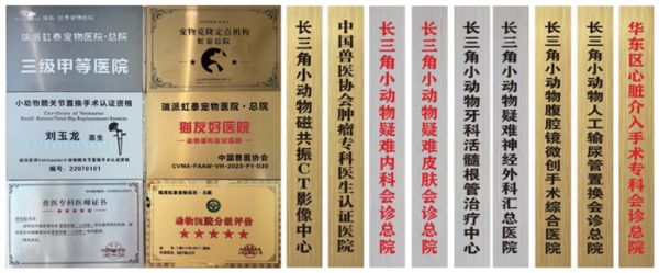 瑞派虹泰环城总院 | 打造“一站式宠物诊疗空间”,定义全国宠物医疗新高度