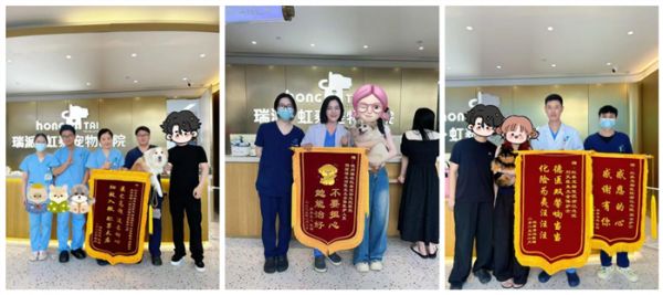 瑞派虹泰环城总院 | 打造“一站式宠物诊疗空间”,定义全国宠物医疗新高度