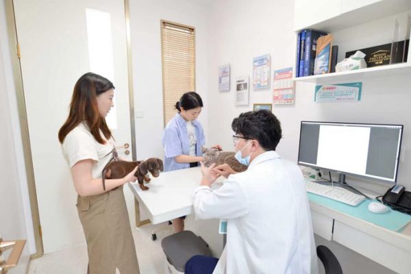 瑞派虹泰环城总院 | 打造“一站式宠物诊疗空间”,定义全国宠物医疗新高度