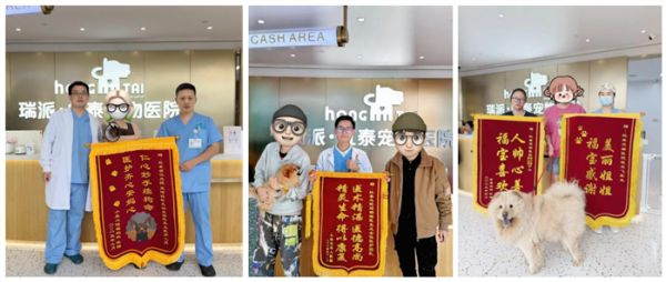 瑞派虹泰环城总院 | 打造“一站式宠物诊疗空间”,定义全国宠物医疗新高度