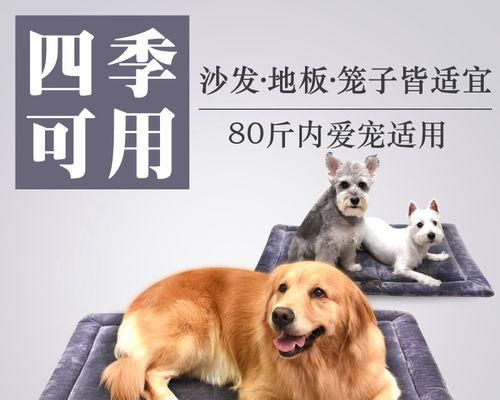 如何预防和治疗狗狗脚垫增厚干裂（宠物保健从脚垫开始）