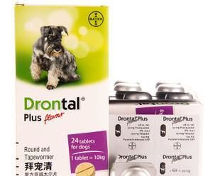 用狗狗治疗流感——药品选择指南（以宠物为主）