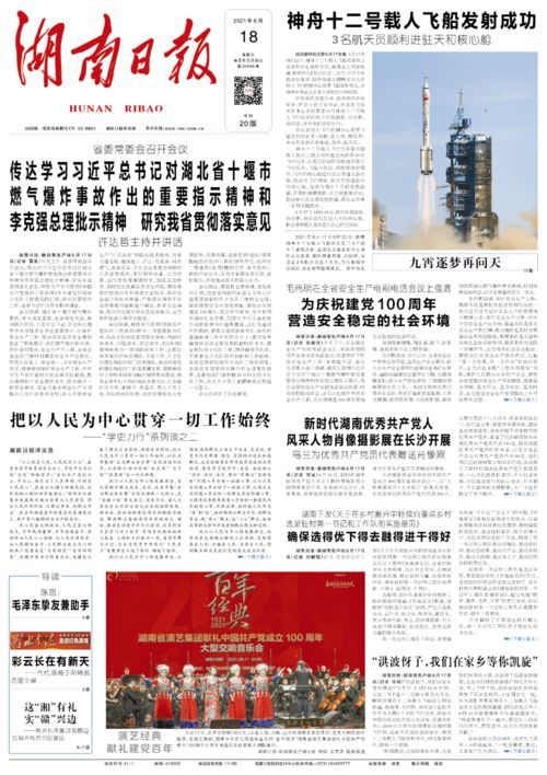 养狸花猫月费解析：成本明细速览