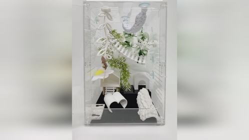 #冬日恋歌 主题的#爬宠缸 #爬宠柜 ，#爬宠#异宠 #守宫