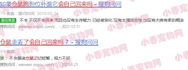 仓鼠跑了会自己回来吗