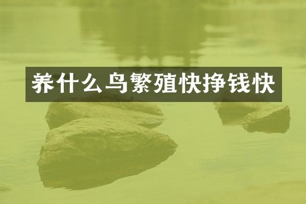 养什么鸟繁殖快挣钱快