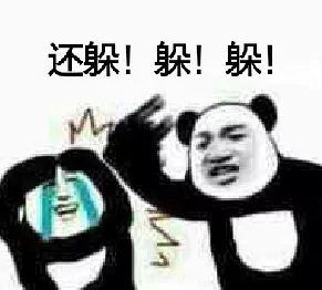 这只荷兰猪这么任性，主人都管不了