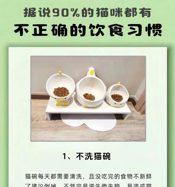 长期吃猫粮对猫咪健康有何影响？猫咪饮食习惯如何正确培养？