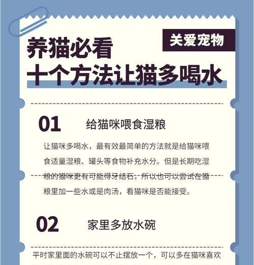 泡猫粮还喂水吗为什么不喝？猫咪饮水习惯的正确引导方法是什么？