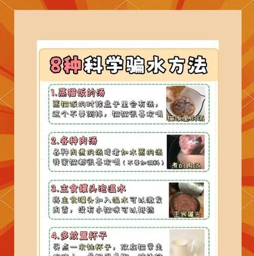 泡猫粮还喂水吗为什么不喝？猫咪饮水习惯的正确引导方法是什么？