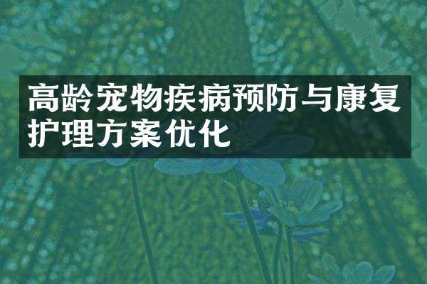 高龄宠物疾病预防与康复护理方案优化