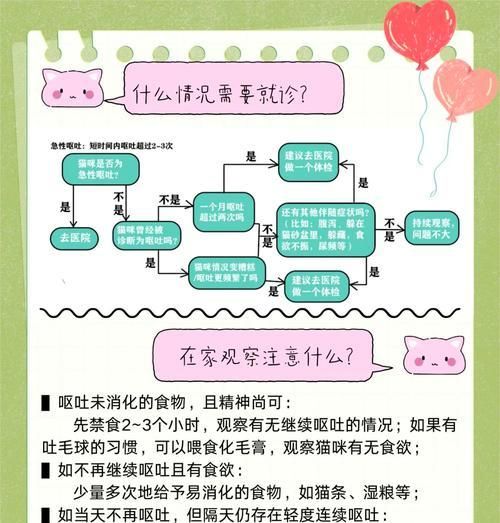 猫咪吐未消化猫粮和猫草怎么办？如何预防这种情况发生？