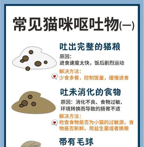 猫咪吐未消化猫粮和猫草怎么办？如何预防这种情况发生？
