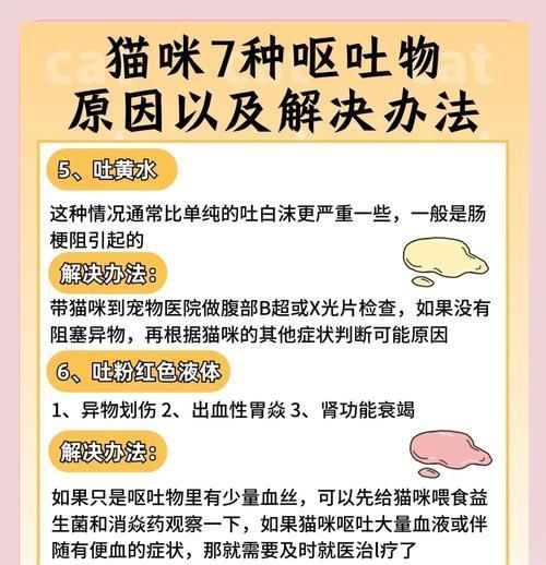 猫咪突然改食猫粮后呕吐怎么办？如何预防？