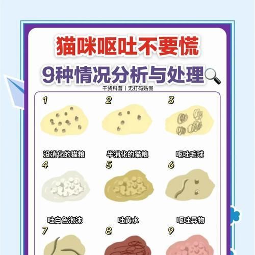 猫咪突然改食猫粮后呕吐怎么办？如何预防？