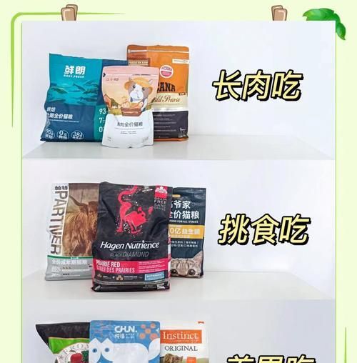 土豪猫消化不良时应选择哪种猫粮？