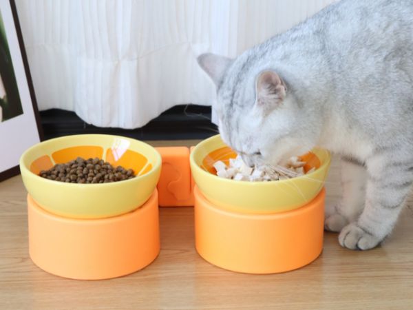 浙江助消化猫碗一件代发,猫碗