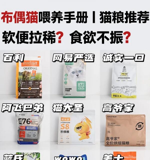 布偶猫消化不良软便时应吃什么猫粮？如何选择合适的猫粮？