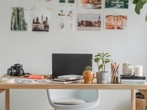 宠物食品商标分类及注册指南