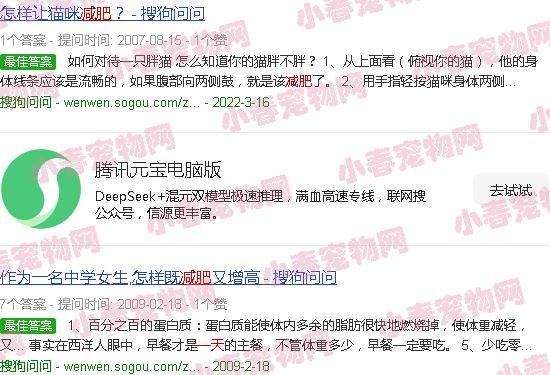 猫减肥一天分几顿