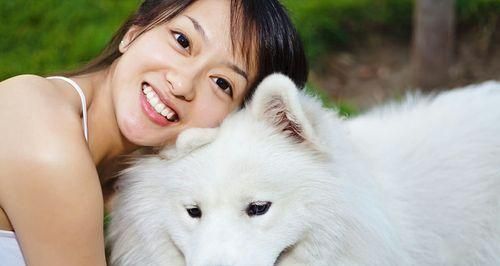 以萨摩耶犬为例的宠物日常训练注意事项（让萨摩耶犬成为你的好伴侣——萨摩耶犬日常训练5个注意点）