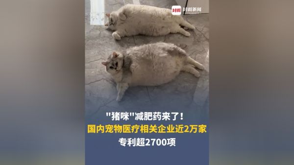 Thumbplayer Poster Plugin Image