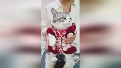 生了！生了！男婴7斤7两