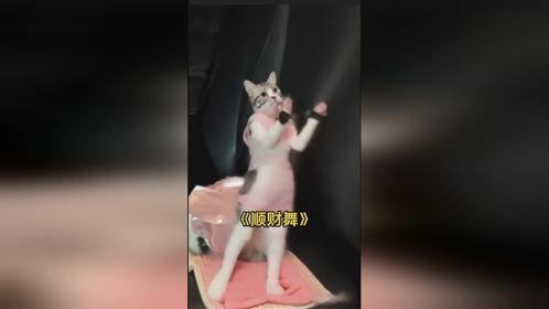 这位拼友正经嘛？！