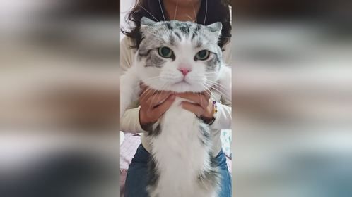 快艾特你诡蜜陪你跳《初雪》！