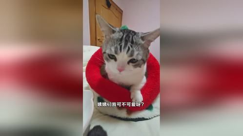 我妈没骗我吧？