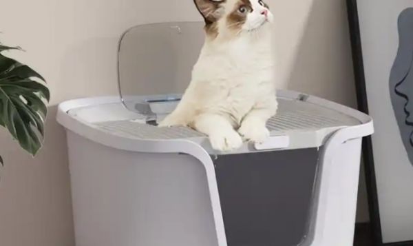 佳乐滋双层猫砂盆，提升养猫生活的理想选择！