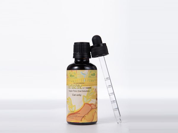 深度解读：猫传腹治疗对猫咪生活质量的影响