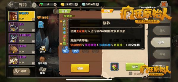 疯狂原始人宠物驯养怎么玩？宠物驯养技巧讲解