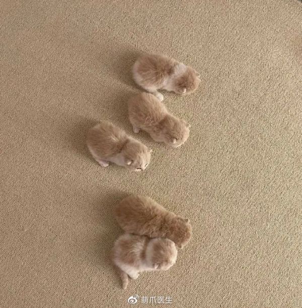 <a href='https://weibo.com/n/网络'>@网络</a>