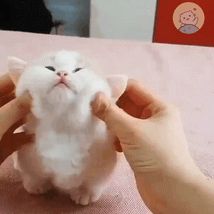 <a href='https://weibo.com/n/网络'>@网络</a>