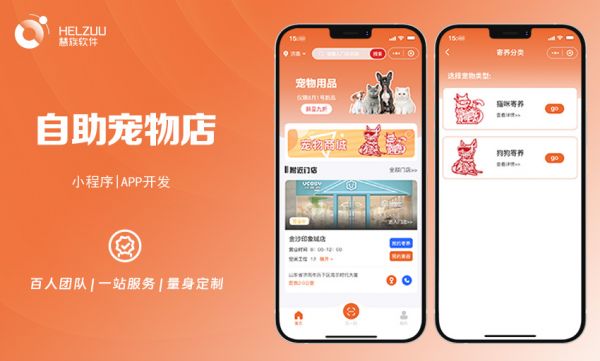 慧族网络19年实体百人开发团队