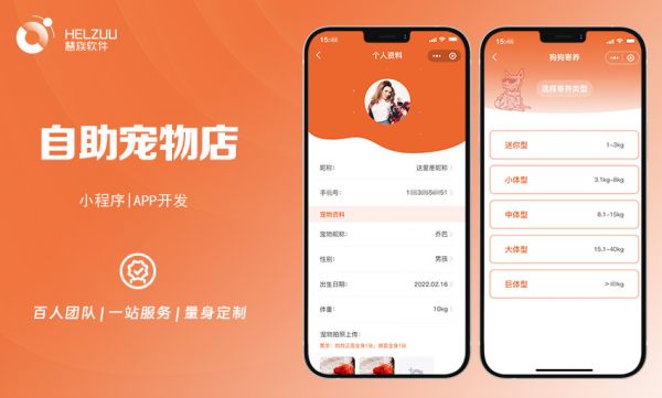 慧族网络19年实体百人开发团队