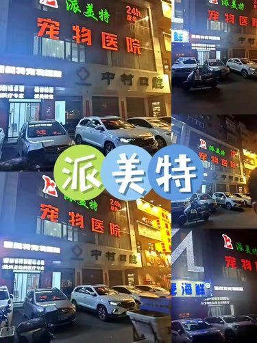 派美特宠物医院，毛孩子的靠谱健康港湾！