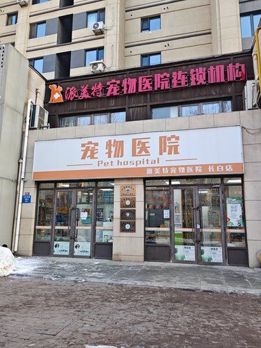 龟龟生病犯了难 异宠诊疗解我燃眉急！