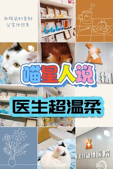 萌宠健康守护 异宠诊疗解锁专业新体验