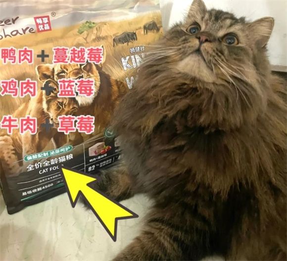 畅享猫粮：国产猫粮新选择