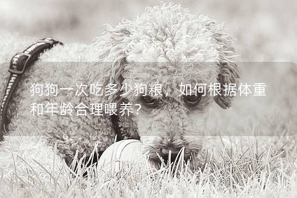 狗狗一次吃多少狗粮，如何根据体重和年龄合理喂养？