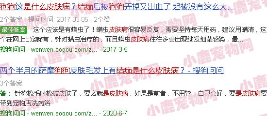 狗结痂是什么皮肤病