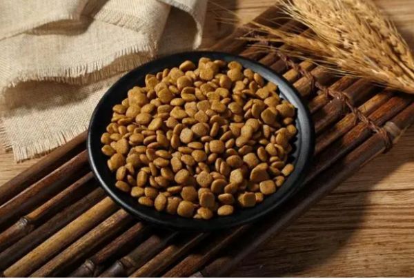 狗狗更换狗粮需要过渡期吗？来了解一下