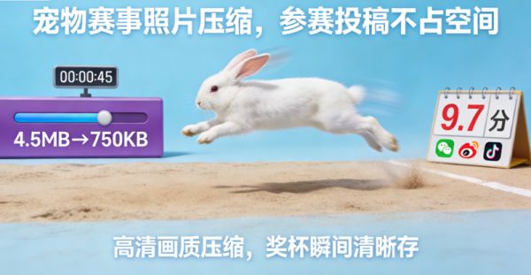 宠物比赛照片怎么压缩到200kb？纯种猫狗证件图片压缩详解