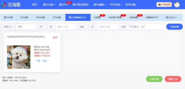 宠物比赛照片怎么压缩到200kb？纯种猫狗证件图片压缩详解