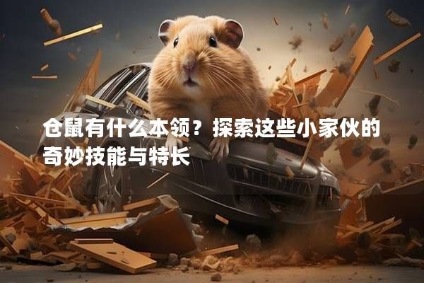 仓鼠有什么本领?探索这些小家伙的奇妙技能与特长